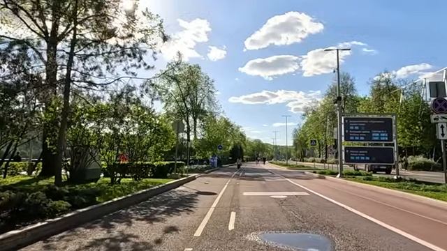 Чтобы спасти угасающую бродяжку, врач пошел брать деньги в долг… А когда показал в банке ЭТО фото…