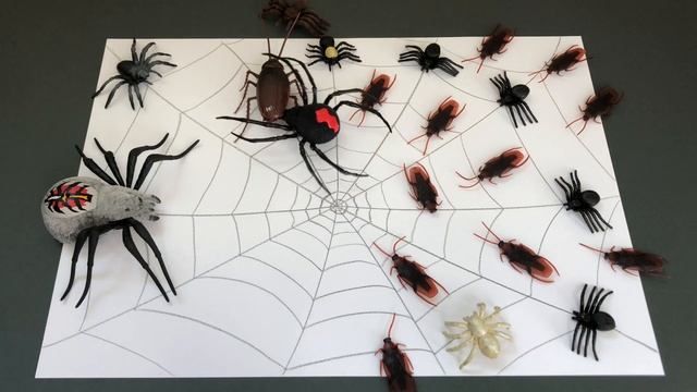 Robotic Crawling Spider and Cockroach from Zuru Robo Alive.Insects Toys for Kids.