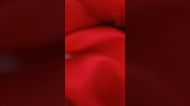 31-01-2025