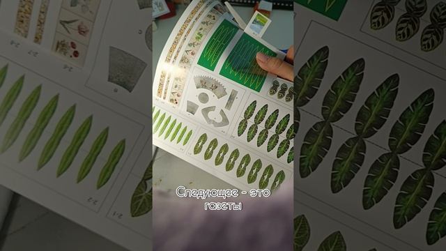 Румбокс "Оранжерея". Часть 2