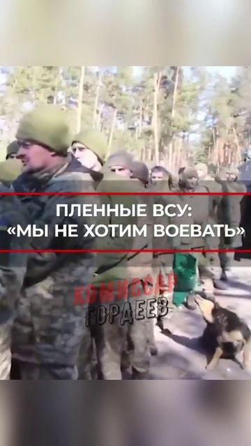 Народ страны 404 является лишь «пешкой» в руках «коллективного Запада» ♟
