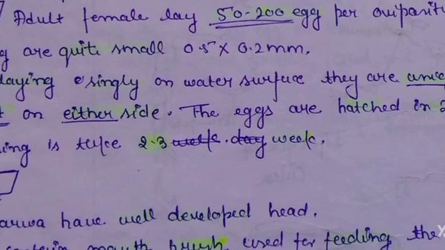 life cycle of anopheles mosquito | bsc 3 year | 2022 | handwritten notes for Exam|