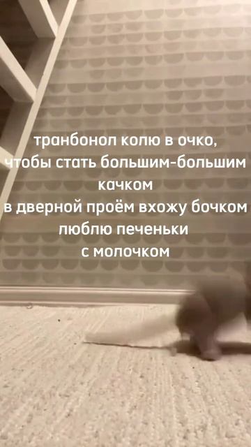 Хурма, Улитка, Йод - прочитайте первые буквы слов заглавные и все