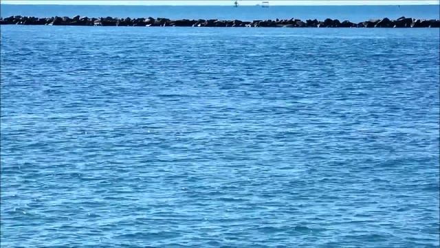 SEA RAY Jumps Out of the Water!