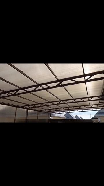 scene_output.mp4