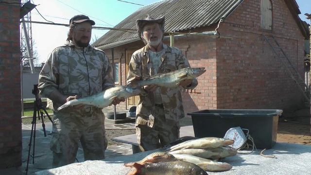 Судаки увесистые. Отчет по улову с реки Чир.  Сын Алексей и Юрий Философ.