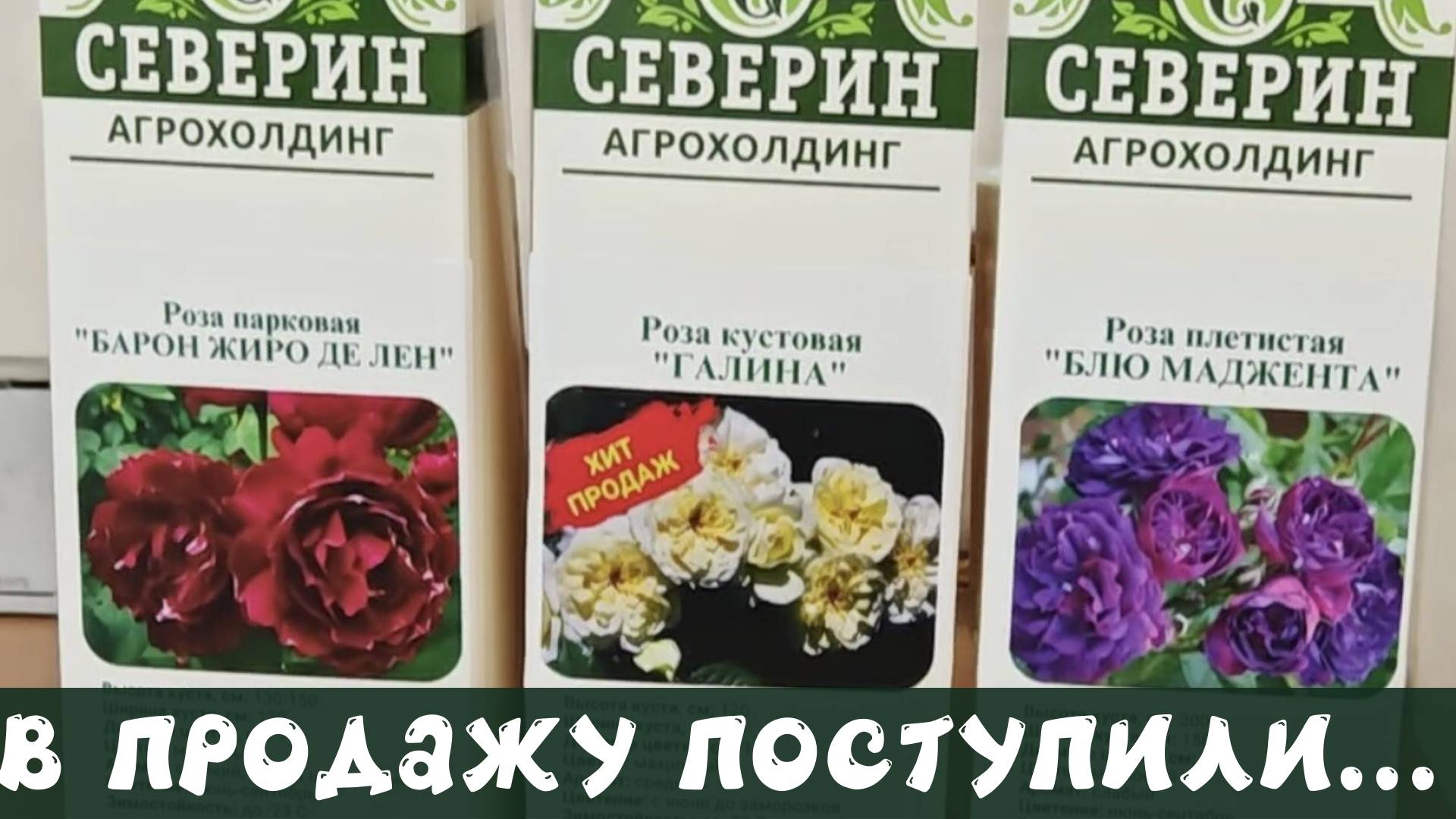 В продажу поступили...