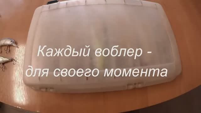 Сбор щучьей коробки - что взять на каждый случай и как не потратить лишнего