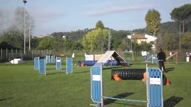 Stefania e Jago agility deb Gara csen Lucca