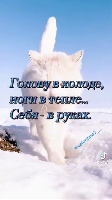 доброе утро