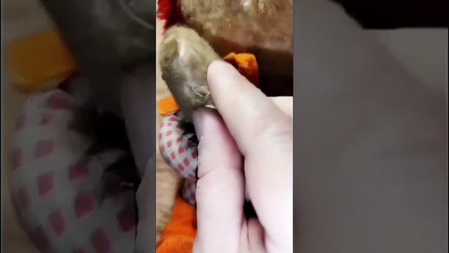 Реставрация игрушки Минимаус часть 1