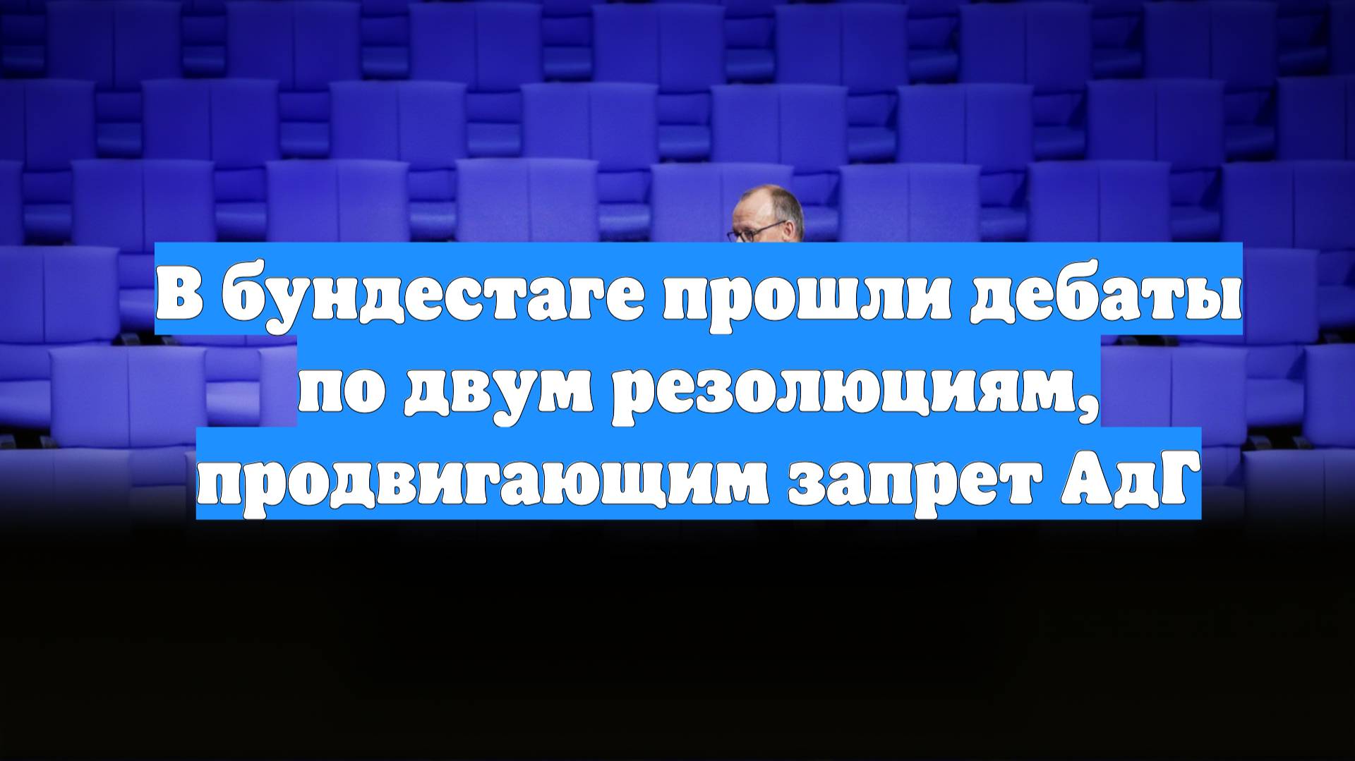 В бундестаге прошли дебаты по двум резолюциям, продвигающим запрет АдГ