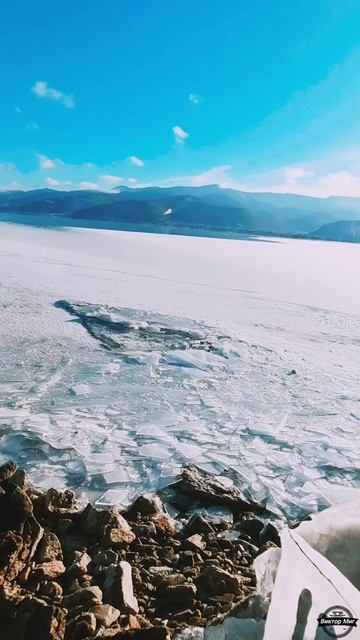 Свои