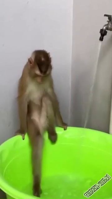 Как я моюсь в бане😂