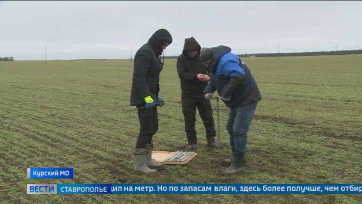 Ставропольские поля изучают научные специалисты