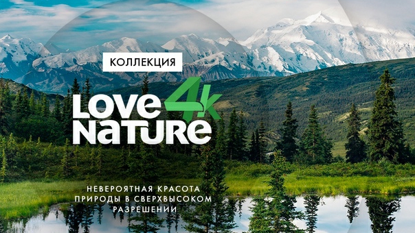 Фантастическая природа. Видео для расслабления #meditation #relax