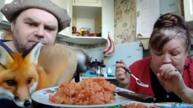 Нейроклип "Зайцы и лисицы"