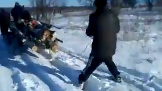 Прикольчик...60км в час