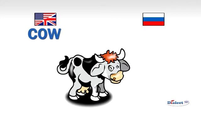 How to speak Russian - Domestic Animals