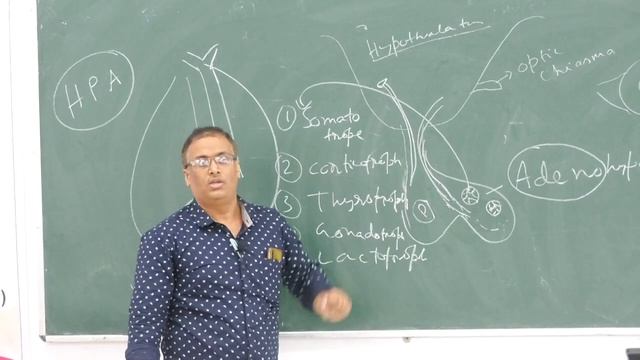 Lecture On Importance, Sources, Functions & Deficiencies - Santiniketan Medical College | MBBS