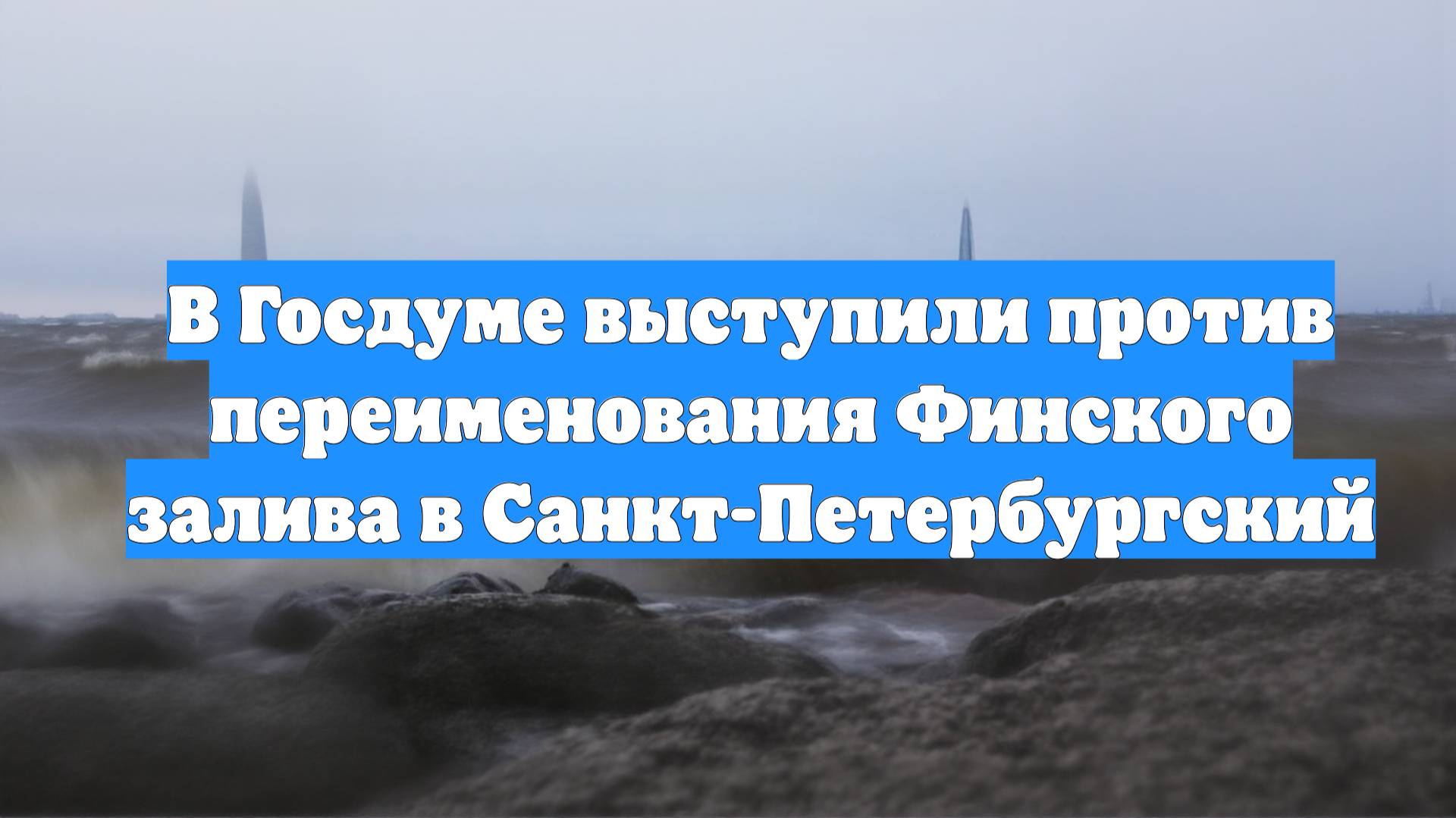 В Госдуме выступили против переименования Финского залива в Санкт-Петербургский