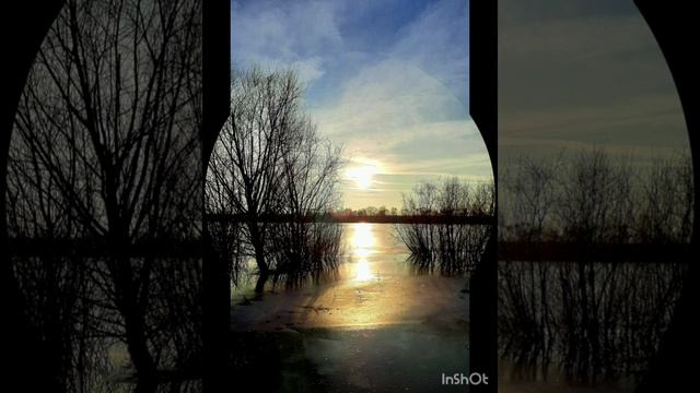 31-01-2025 31 января.. Солнечный денек