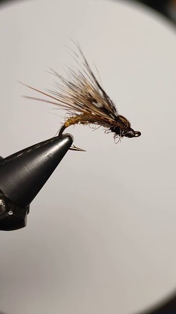 Caddis