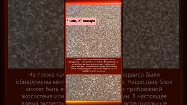 29.01.2025 Что произошло в мире