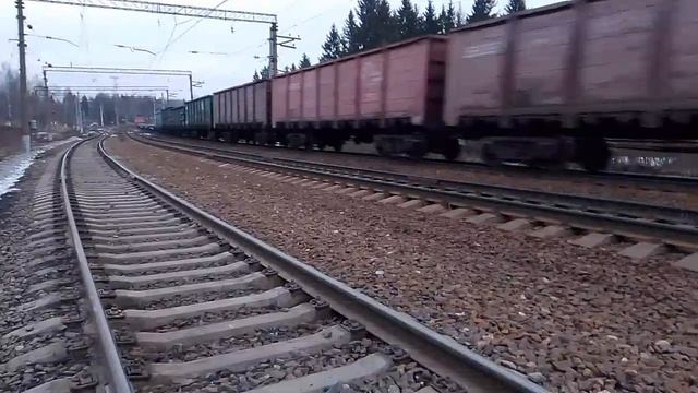 VID-20250131-WA0004.mp4