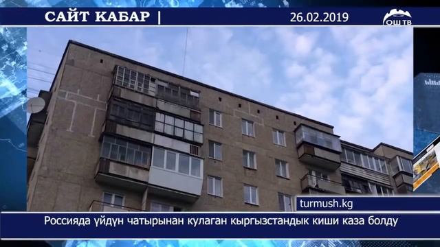 #ОшТВ | Бишкекте  унаа  даракка урунуп,  22 жана 17 жаштагы балдар каза тапты