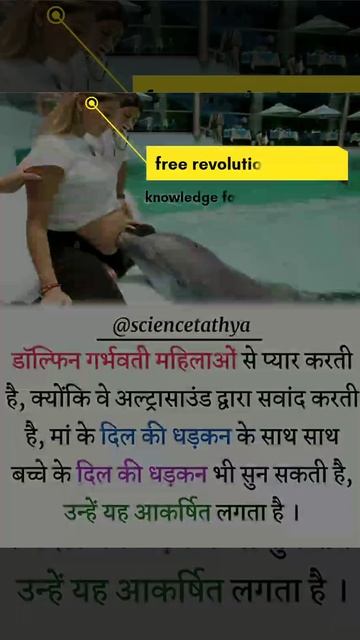 🐬डॉल्फ़िन 🐬के बारे में रोचक तथ्य | Dolphin🐬 In Hindi (65 Interesting Facts And Information)#facts