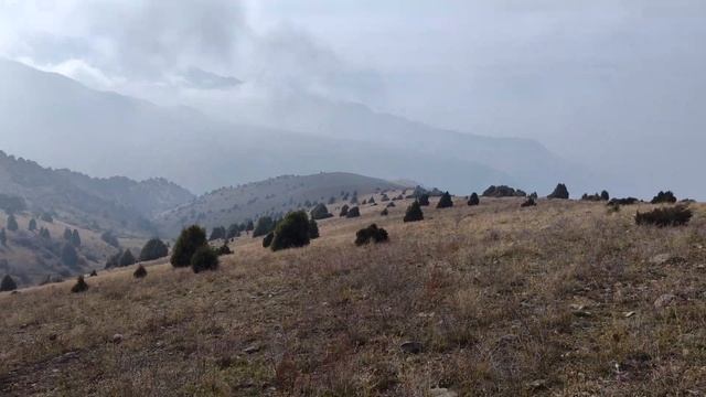 Ёжики в тумане, спускаются. 4К. Mountains of Kazakhstan. Сайрамское ущелье, Сазан-Ата. Подпишись.15