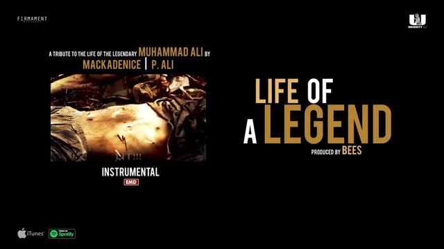 'Life of a Legend ' (Instrumental) Prod. by Bees.