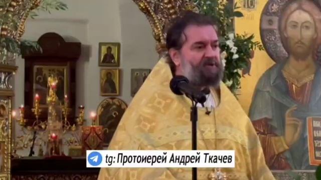 «Кусочки тишины»
