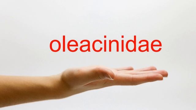 How to Pronounce oleacinidae - American English