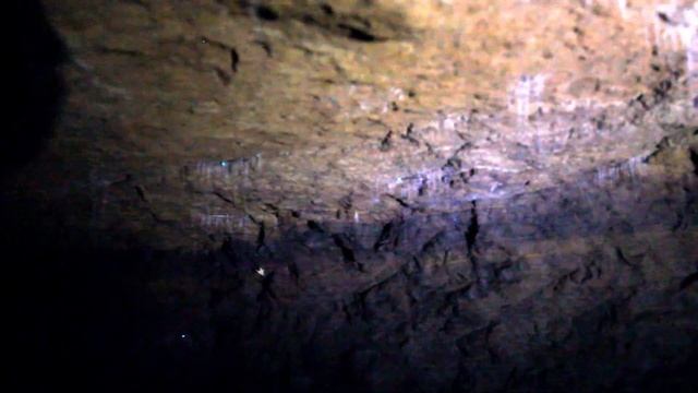 Glowworms in Mitchells Gulley Goldmine, South Island, New Zealand