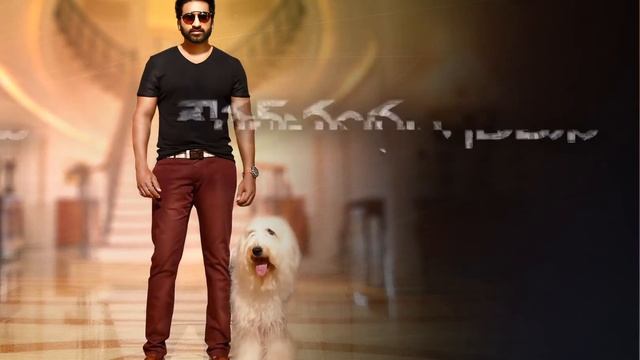 Gautam Nanda Teaser Motion Poster