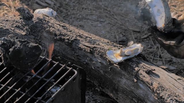 술을 먹는 3가지 방법 / 석화 구이 / 생굴 / 굴전 / oyster grilled / 캠핑요리 / 캠핑한끼