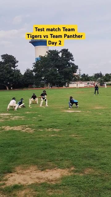 Team Tiger vs Team Panther #shorts #short # #song #music #love #fitness #trending #reels #gym #funn