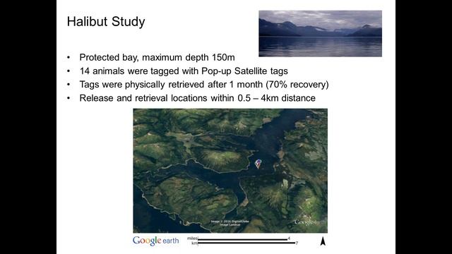 Challenges of activity recognition in fish using accelerometer sensors: Dr Franziska Broell