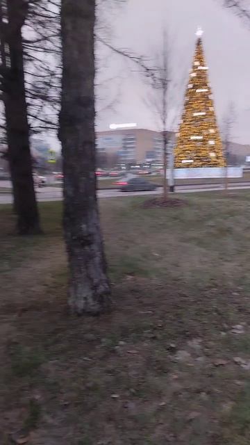 Теплая зима в мск 2024/2025