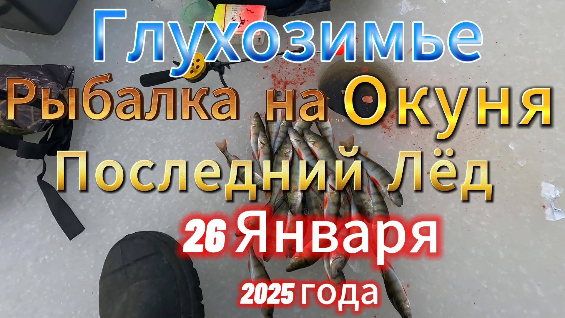 ПОСЛЕДНИЙ ВЫХОД НА ЛЁД В ЯНВАРЕ 25 ГОДА ОКУНЬ В ГЛУХОЗИМЬЕ ПАСИВНЫЙ КРАЙНИЙ ОБЗОР РЫБАЛКИ НА НЕВЕ