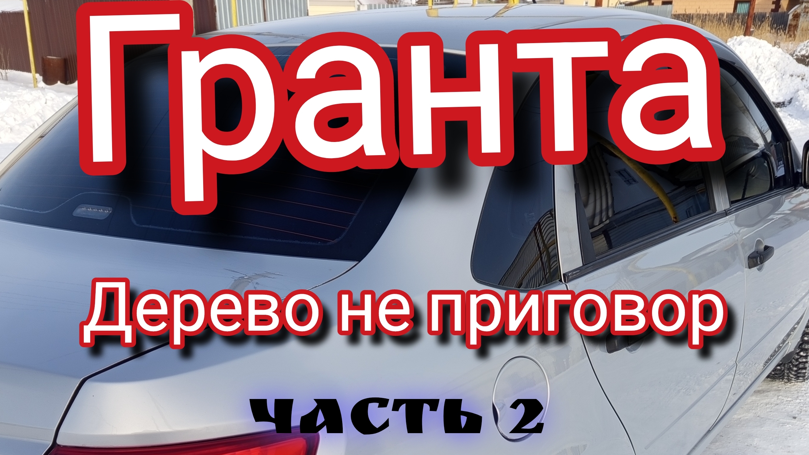 ГРАНТА ДЕРЕВО НЕ ПРИГОВОР ЧАСТЬ 2