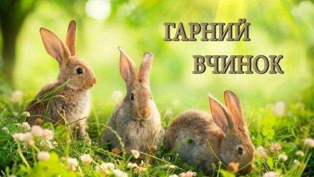 Аудіоказка українською / Гарний вчинок / Казка на ніч