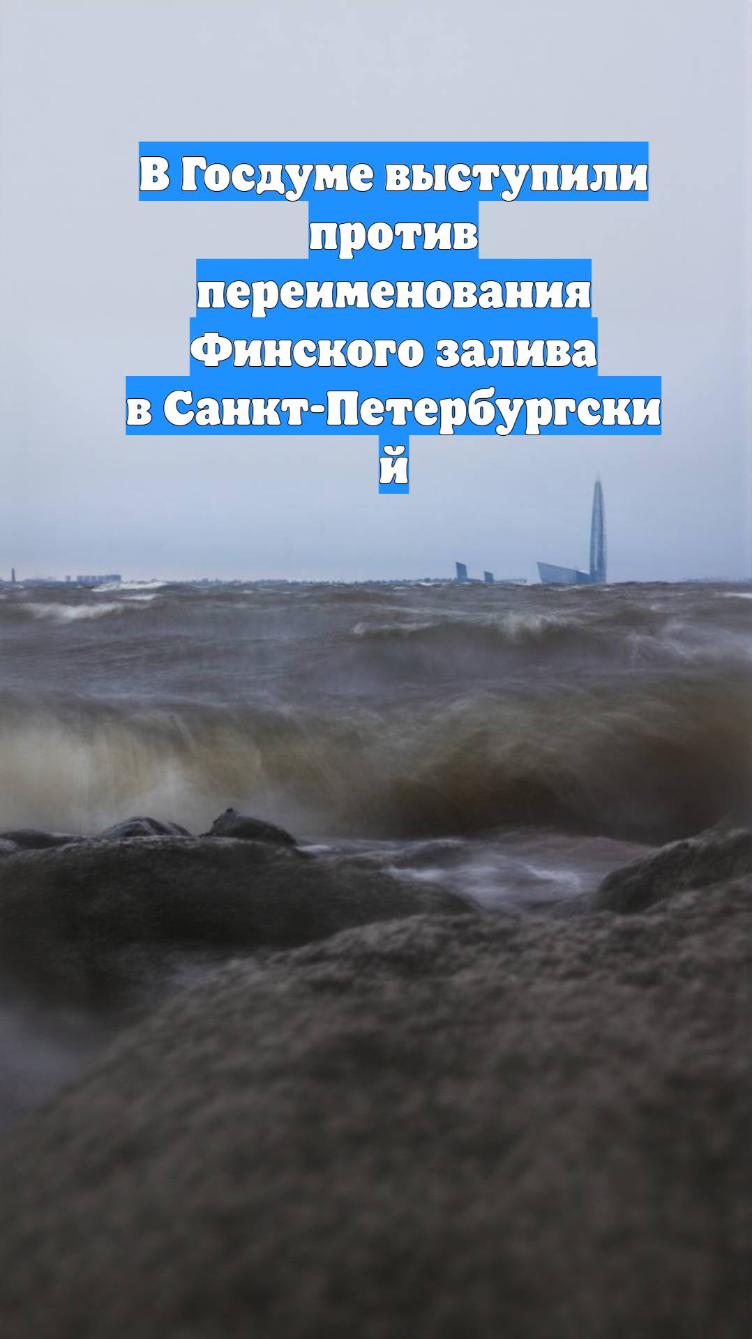 В Госдуме выступили против переименования Финского залива в Санкт-Петербургский