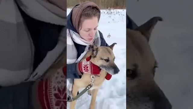 Лепс 🐕❤️🔥