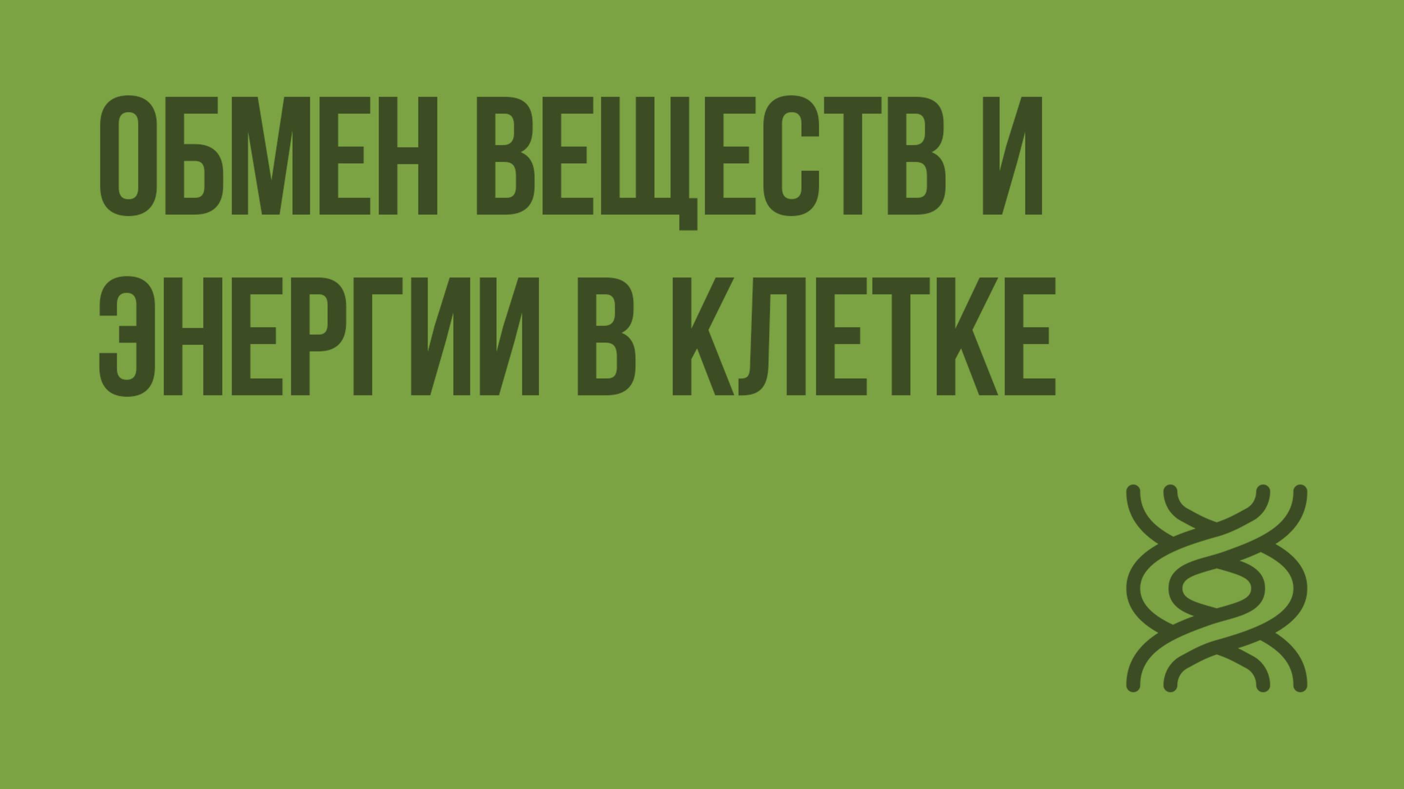 Обмен веществ и энергии в клетке. Видеоурок по биологии 9 класс