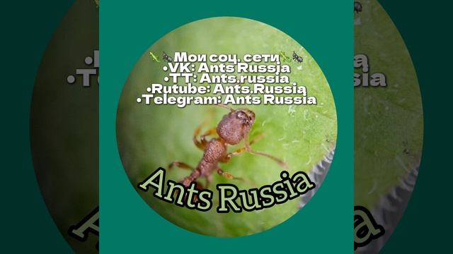 Помощь.
