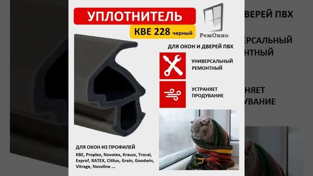 10_kot_kbe_228
