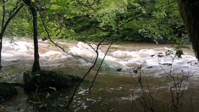 Shank Wood hidden river cabin.